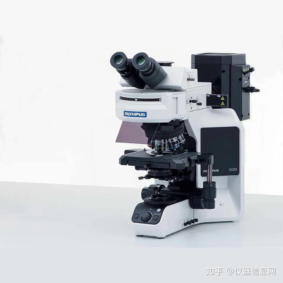 看了荧光显微镜最新的技术进展,小编决定扒一扒关于它