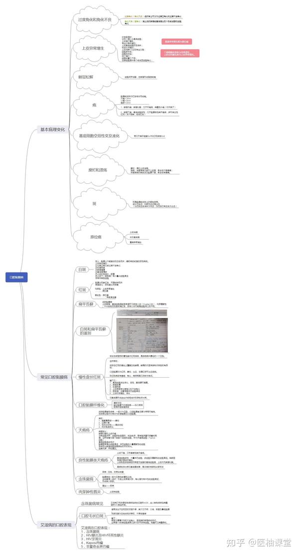 口腔医学思维导图分享