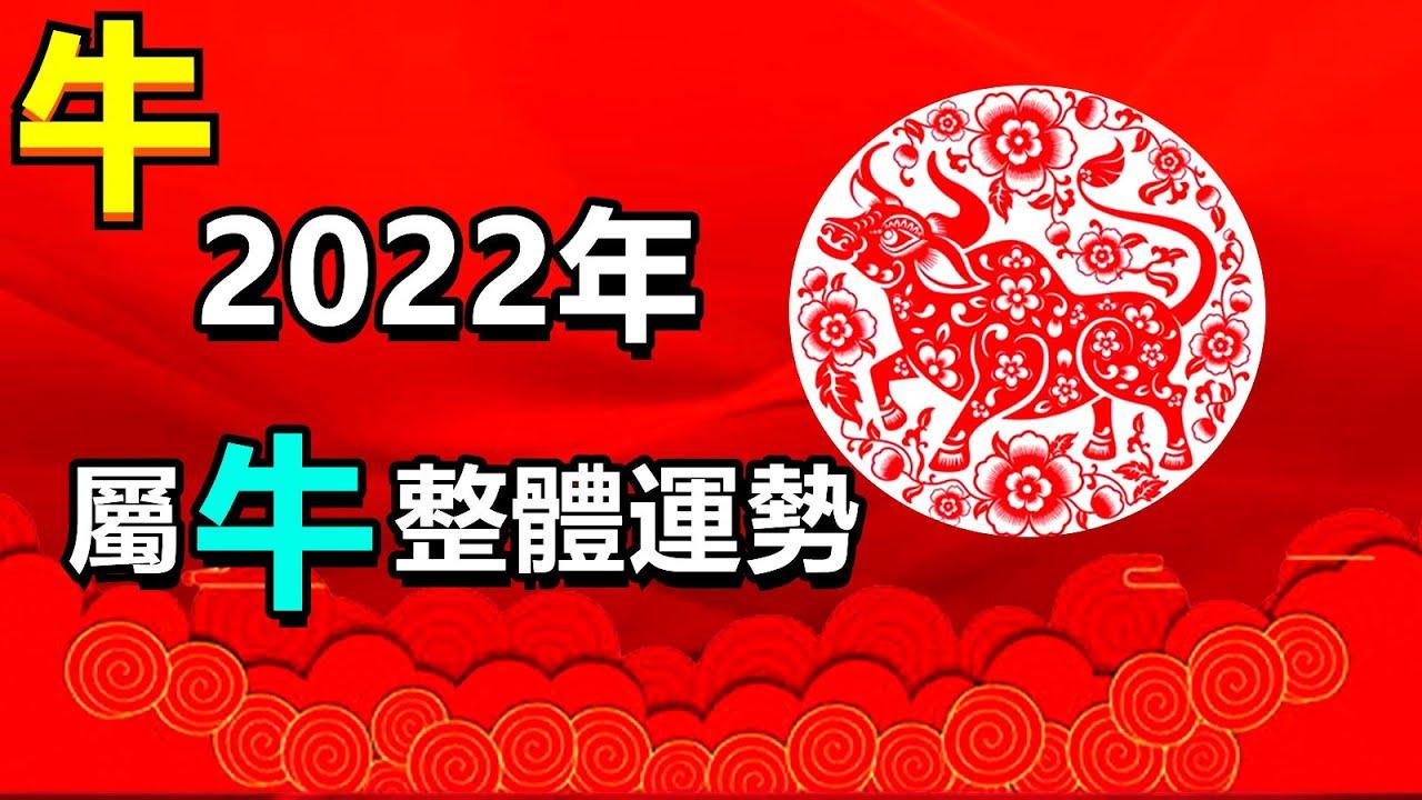 2022年生肖49码图片,2022年12生肖49码图 2022年生肖牛运程
