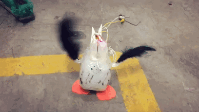 作为一个低能力限定格斗大赛,这场loser盛宴由机器人社会中的菜鸡互