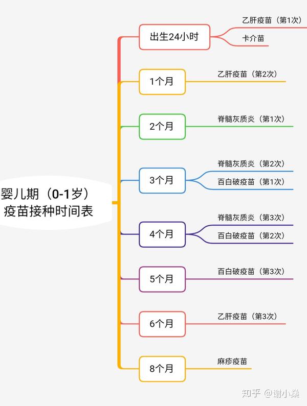 思维导图:婴儿期疫苗接种时间表