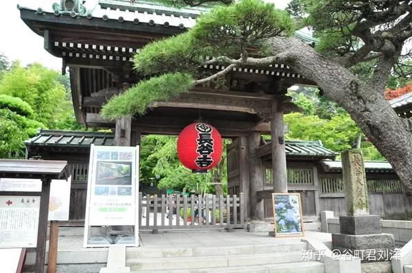 第21位 长谷寺(神奈川县镰仓市)