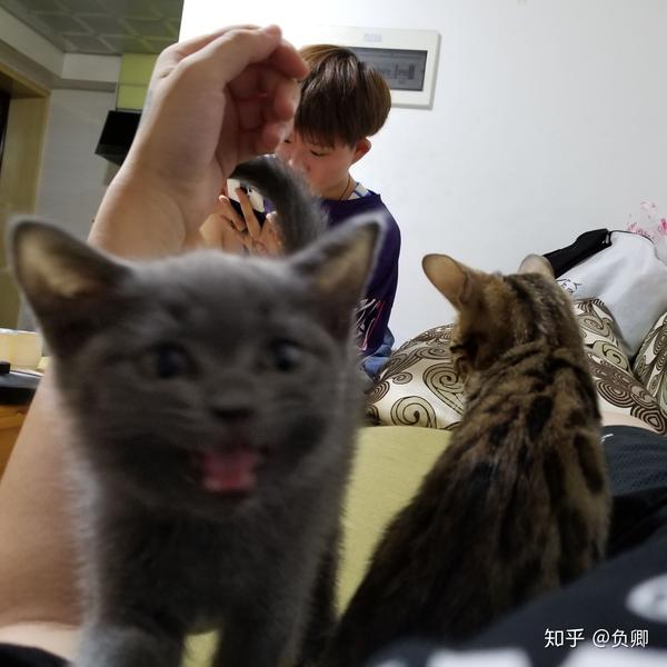 猫咪和水濑能好好玩耍吗