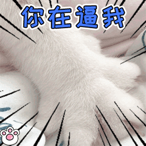 生气揍人的动态表情包:生气了,哄不好了