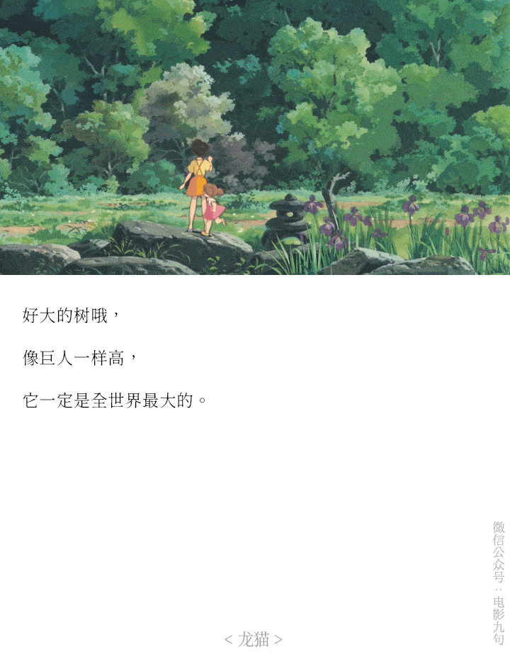 隔壁的多多洛,多多洛--宫崎骏の龙猫:台词和截图