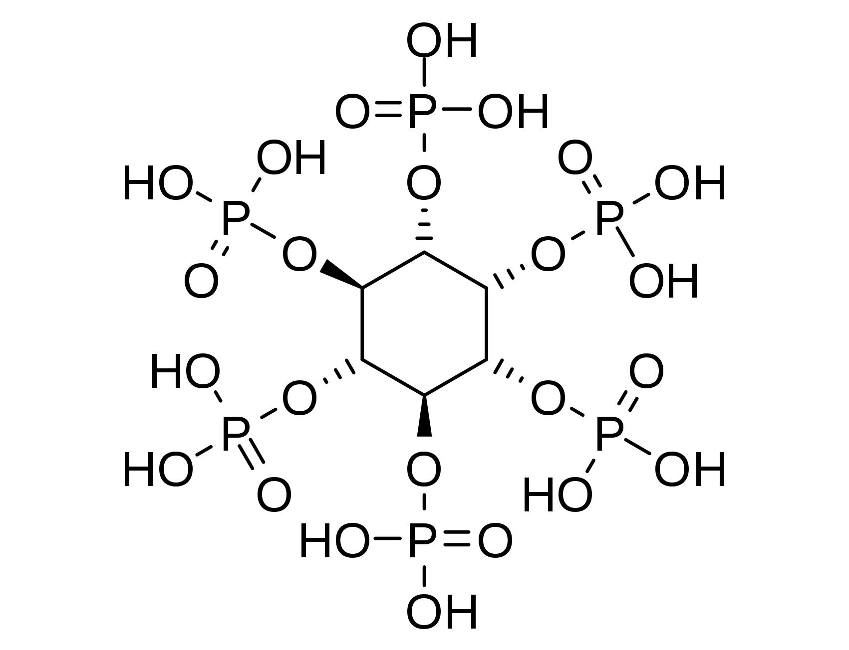 植酸——种子里的诅咒(4)?