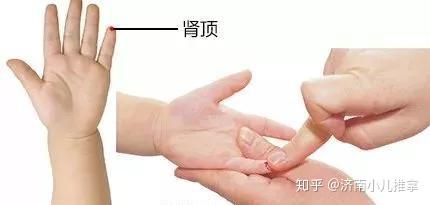 揉肾顶收敛元气,固表止汗,用于小儿自汗,盗汗   肾顶   位置:小指掌面