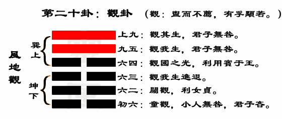 易经第二十卦观