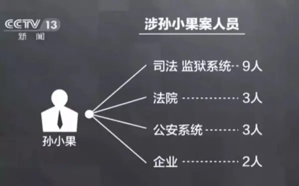 为了继子,李桥忠到处找关系,二审孙小果的判决改成了死缓.