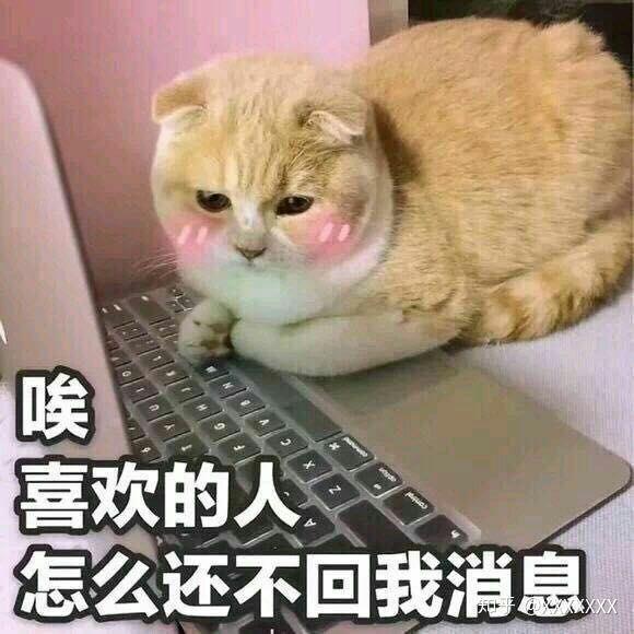 你见过最暖心的表情包是什么?