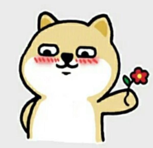 为什么微信表情包【小肥柴】这么火?