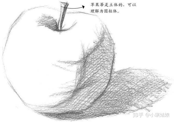 零基础素描pdf电子书教程分步骤讲解苹果梨素描画法