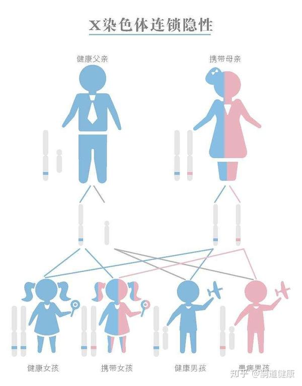 孟德尔遗传定律的实质_孟德尔遗传定律教案范文_孟德尔遗传定律意义