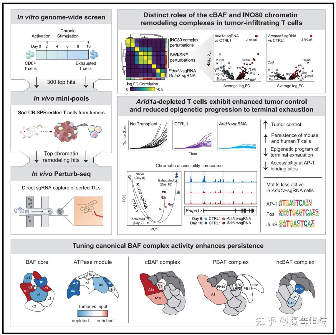 Perturb Seqcrispr Single Cell