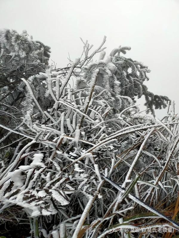 中国广西桂林资源县喜迎第二波雪景景色醉美人间