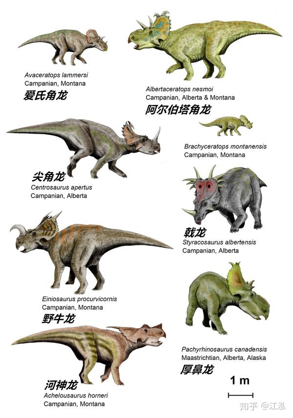 奇特长角恐龙,连古生物学家都分不清!