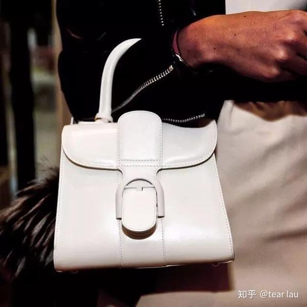 delvaux 要说最受富裕阶层喜欢的包 那非 delvaux brillant 莫属 优雅