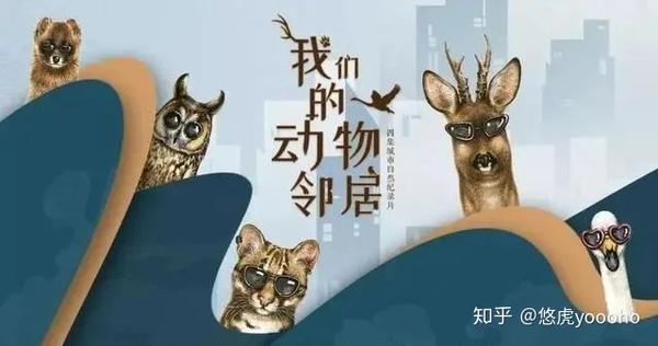 今天小虎想和大家分享一部年前看的纪录片 《我们的动物邻居》,从另一