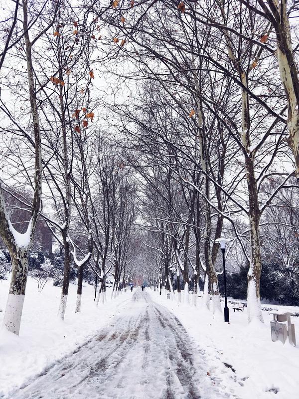 下雪天可以做哪些有趣的事或雪景?