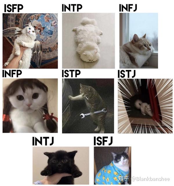 10最有可能成为作家 1infp 2infj 3enfp