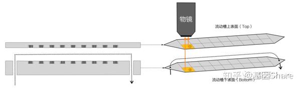 (图13:illumina纯玻璃流动槽双面成像示意图)