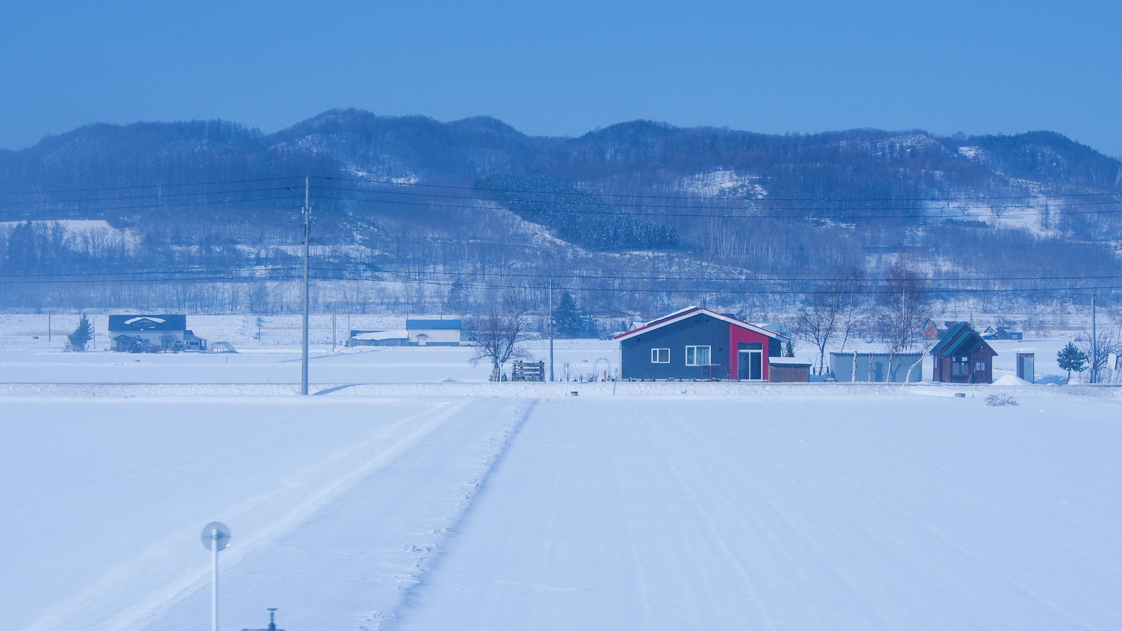 北海道|去看全世界最美的雪