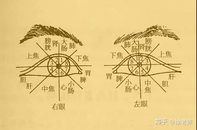 收藏这张人体全息图穴位不用找