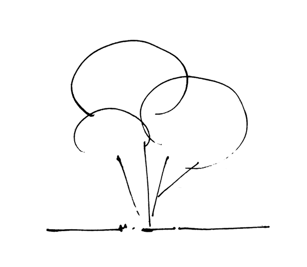 手绘教程|配景树木画法特辑