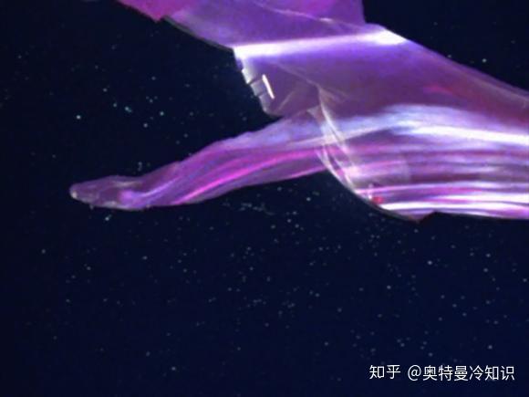 24, 奥特光矛