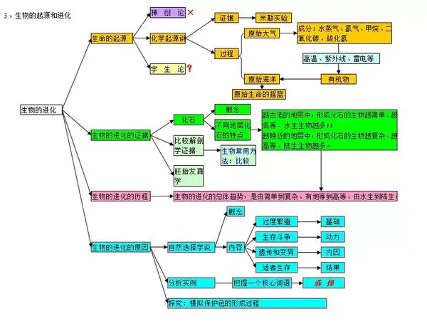 中考生物初中生物思维导图67