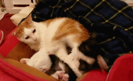 please fuck me, daddy. 6.     can i give you a blow job