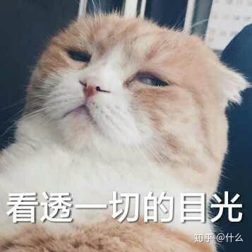 有什么适用于和老公/男票撒娇的可爱表情包?