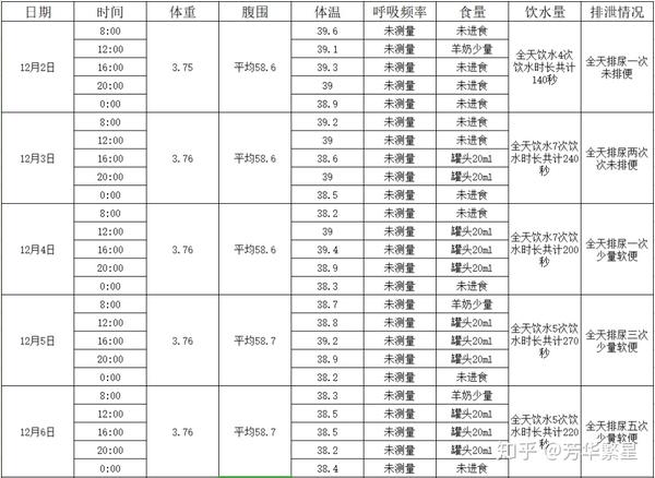 【猫传腹如何正确饮食和护理】元宝抗击猫传腹后记