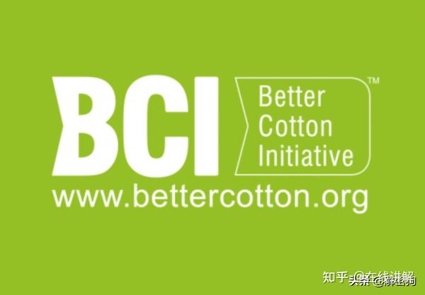 bci组织