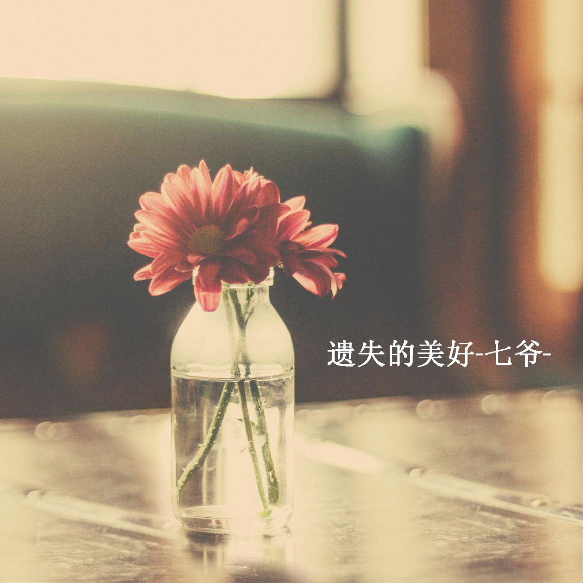 遗失的美好(一)