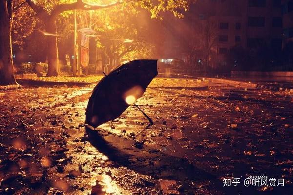 细雨绵绵 撑着一把油纸伞 依偎着你 独自徘徊庭树下 一起聆听夜