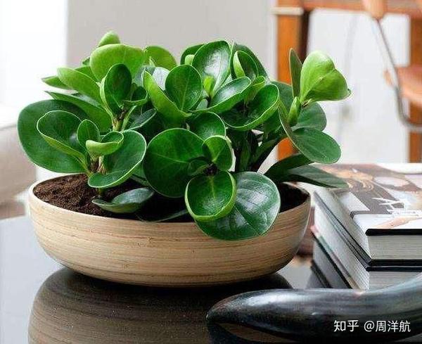 甲醛清除机清除甲醛效果怎么样?