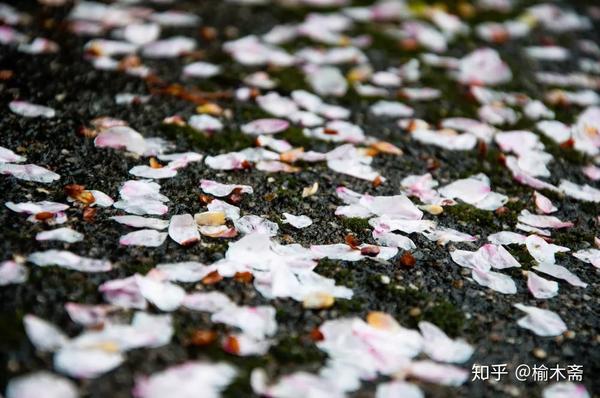 【唐】李白 床前明月光,疑是地上霜. 举头望明月,低头思故乡.
