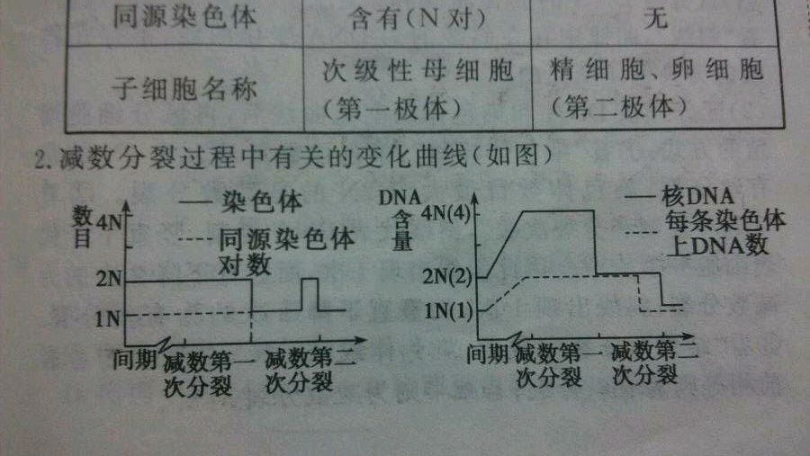 有没有什么技巧记住有丝分裂与减数分裂