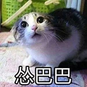 各种毁容方式见得多了,自己就特别怂.