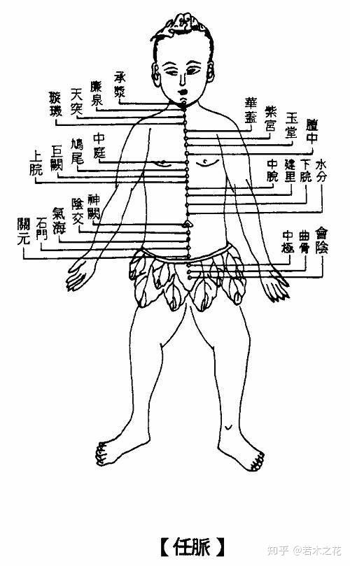 关于任督二脉