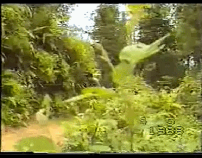 派出所都敢抢?前侦察兵当土匪横行海南5年,劫金矿杀卧底,被40枪击毙!