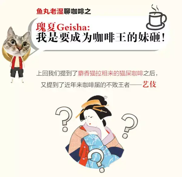 【咖啡讲堂】瑰夏如何逆袭成为新一代咖啡王,鱼丸脑洞