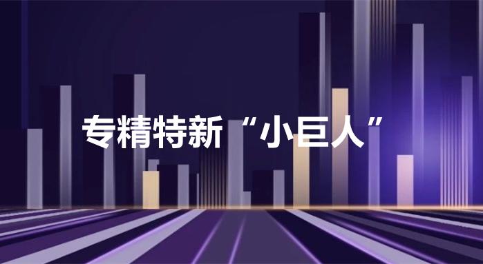 国家级专精特新"小巨人"申报,绕不开的三个关键点