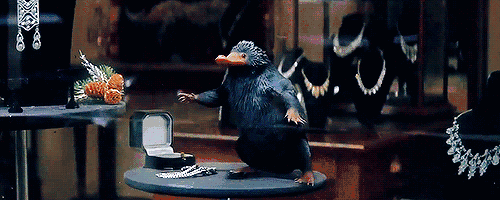 文章翻译自wizardingworld:fantastic beasts, magical creatures