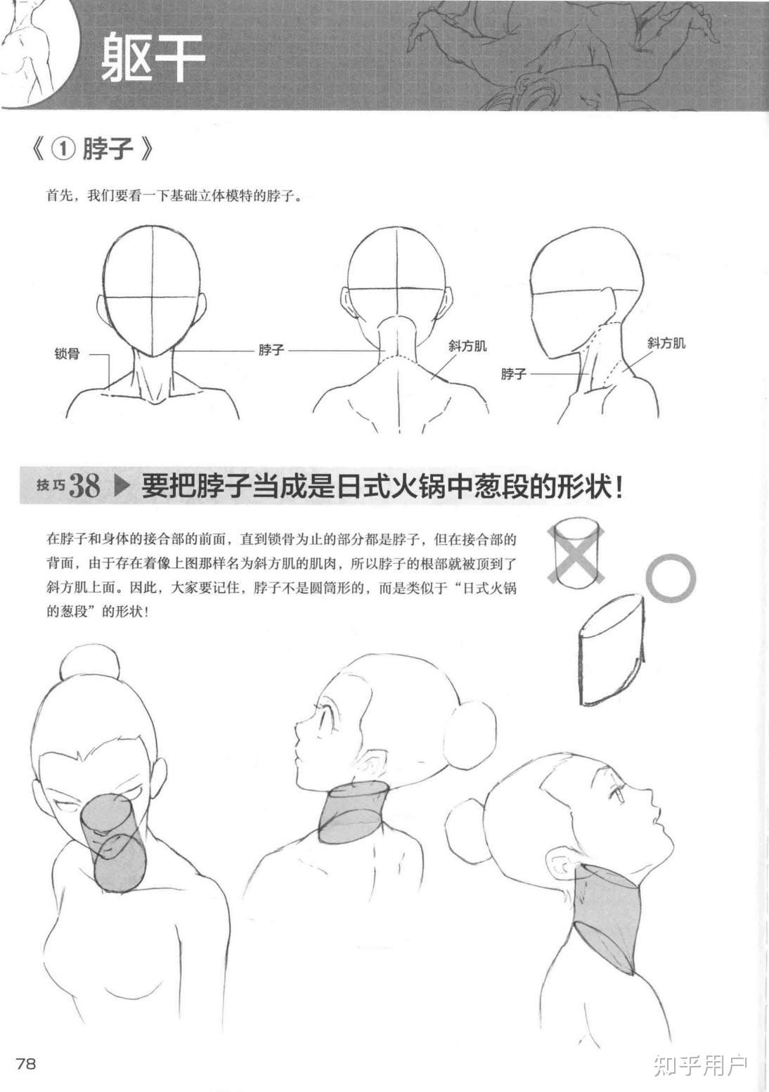 颈椎怎么画呀