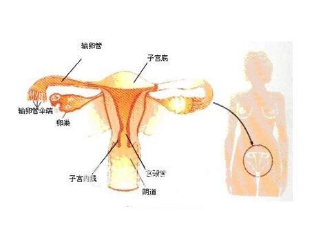 关于附件炎的女性需要注意的两点问题