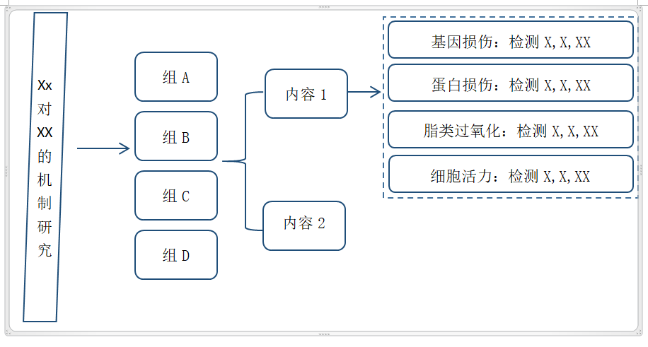 图 1 来源:自己画的 再举个栗子: 如果是一张动物实验的技术路线图