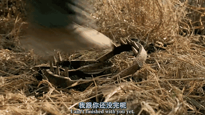 《德州电锯杀人狂》中被夹子夹住.