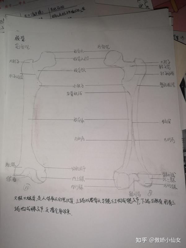 系解手绘图 - 知乎